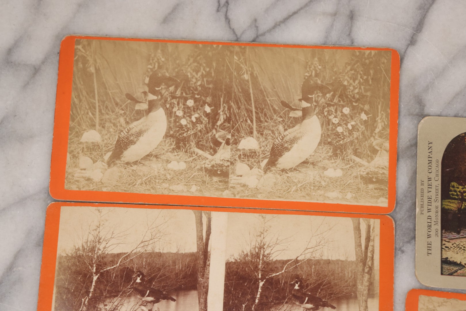 Lot 114 - Grouping Of 11 Stereoview Stereo Optic 3D Cards, Some In Color, Including Kissing, A Bride, Children With Their Pets, Wildlife, And Real Photo Stereocard Of Men Working With Lumber