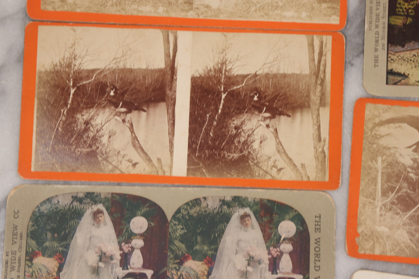 Lot 114 - Grouping Of 11 Stereoview Stereo Optic 3D Cards, Some In Color, Including Kissing, A Bride, Children With Their Pets, Wildlife, And Real Photo Stereocard Of Men Working With Lumber