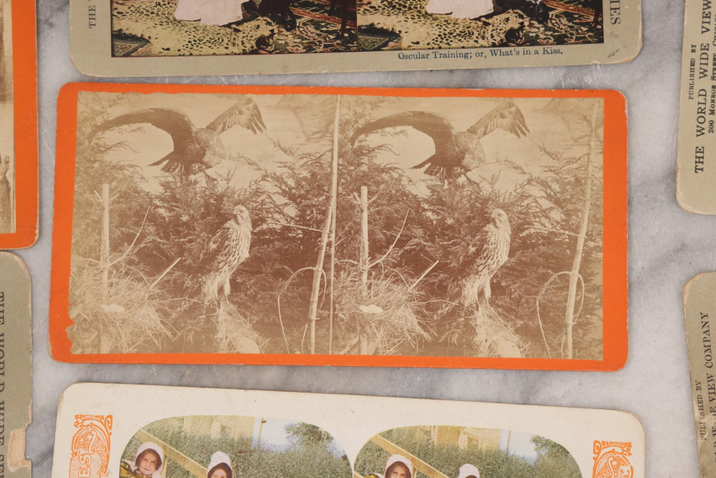 Lot 114 - Grouping Of 11 Stereoview Stereo Optic 3D Cards, Some In Color, Including Kissing, A Bride, Children With Their Pets, Wildlife, And Real Photo Stereocard Of Men Working With Lumber