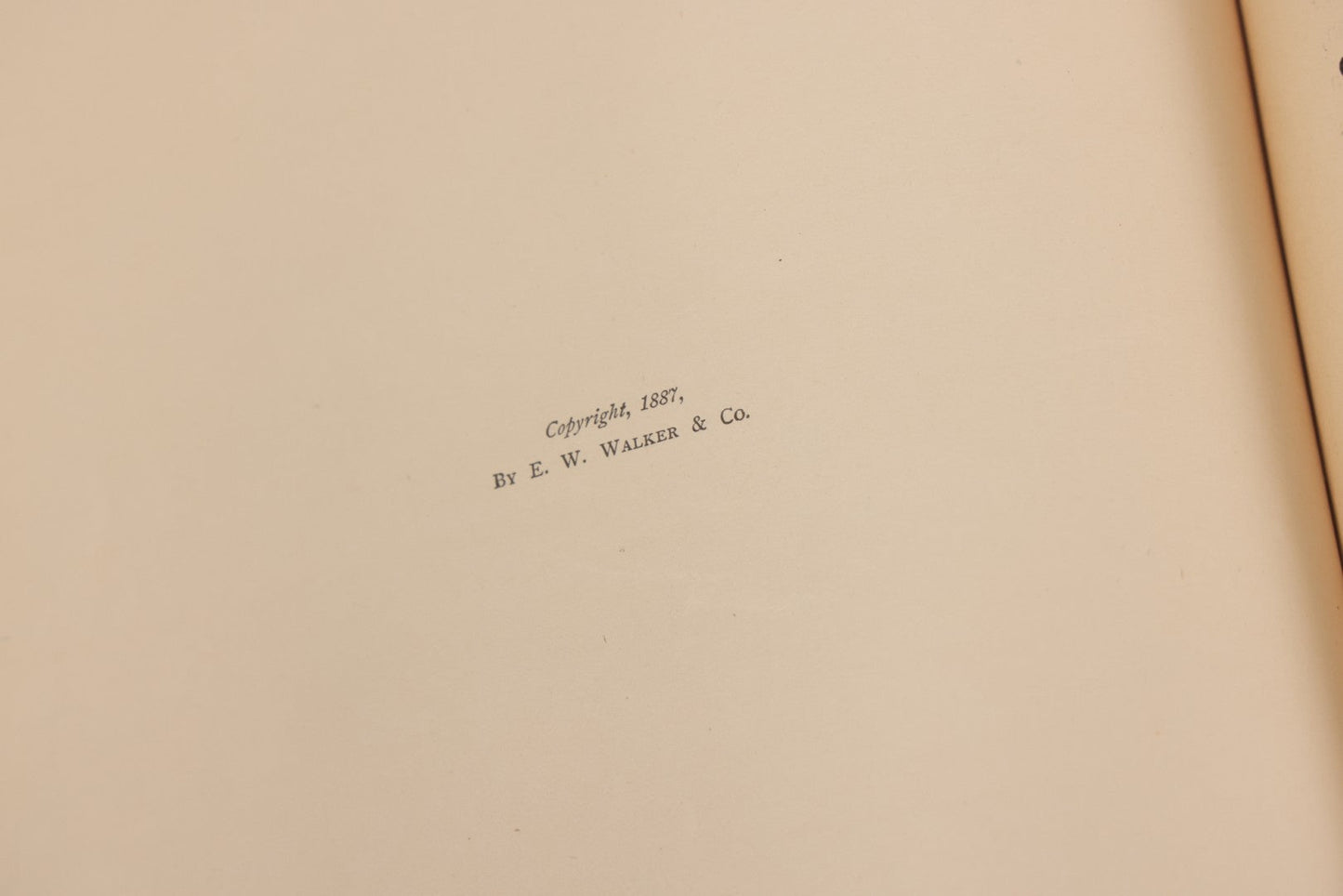 Lot 125 - "Voyages And Travels, Or Scenes In Many Lands" Edited By Leo De Colange, Published By E.W. Walker & Co., Boston, 1887, Richly Illustrated With 850 Wood And Steel Engravings Of World Views
