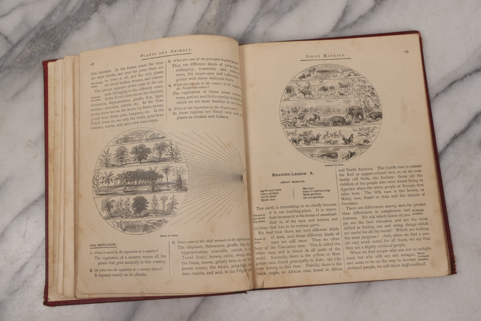 Lot 130 - "Introductory Geography In Readings And Recitations" Antique Book By William Swinton, With Many Illustrations Of World Cultures, Science And Maps, Published By American Book Company, New York, Cincinnati & Chicago, 1882