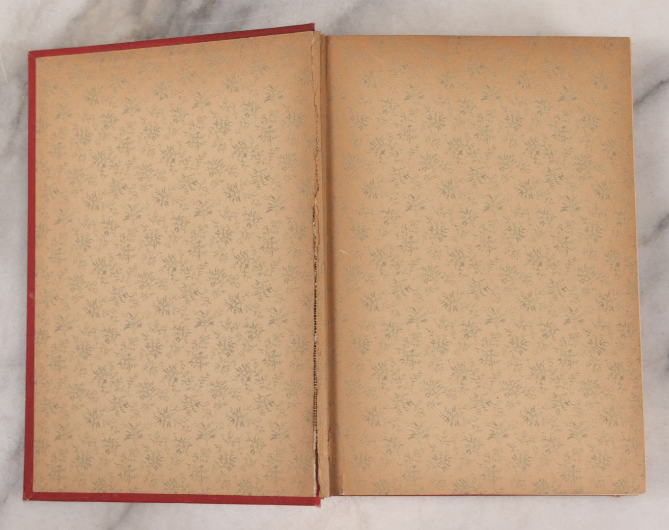 Lot 133 - "Chastity Or, Our Secret Sings" Antique Book By Dio Lewis, A.M., M.D., Covering Topics Of Contraception, Foeticide, Masturbation, And Other Moral Topics, Published By Fowler And Wells, New York, 1894, With Gilded Fore-Edge