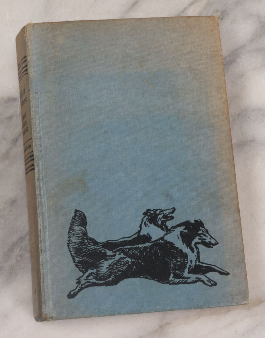 Lot 137 - "Lad Of Sunnybank" Antique Novel By Albert Payson Terhune, Illustrations Of Collies On Front Cover, Inside Covers And Title Page, Published By Grosset & Dunlap, New York, 1929