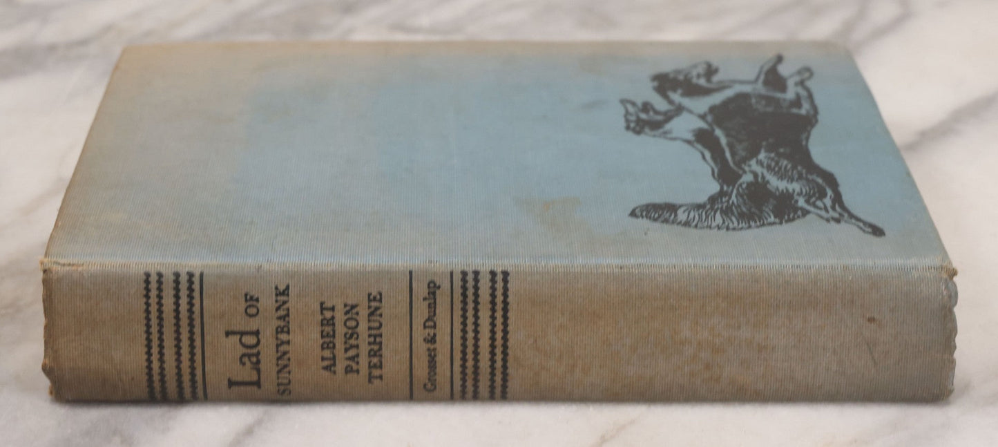 Lot 137 - "Lad Of Sunnybank" Antique Novel By Albert Payson Terhune, Illustrations Of Collies On Front Cover, Inside Covers And Title Page, Published By Grosset & Dunlap, New York, 1929