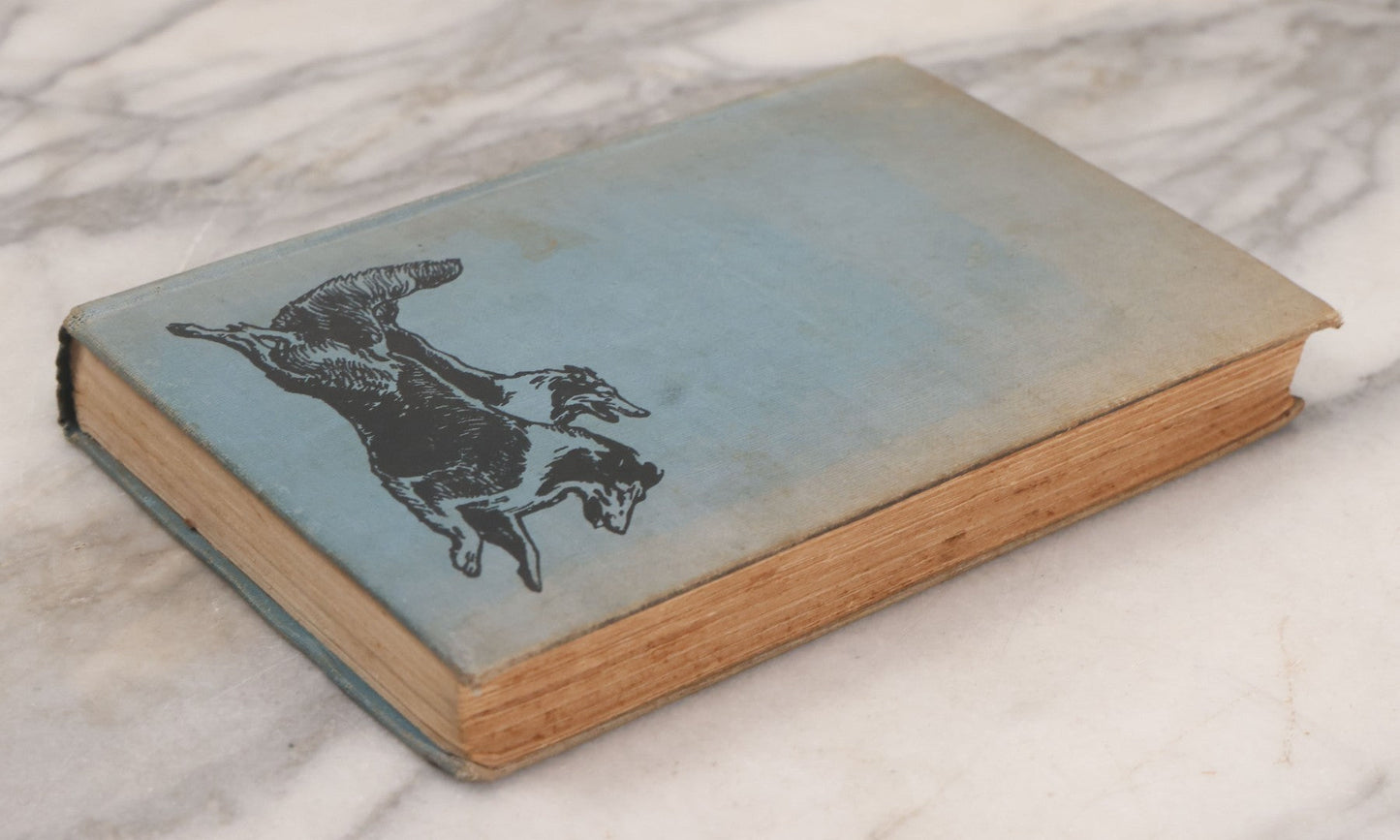 Lot 137 - "Lad Of Sunnybank" Antique Novel By Albert Payson Terhune, Illustrations Of Collies On Front Cover, Inside Covers And Title Page, Published By Grosset & Dunlap, New York, 1929