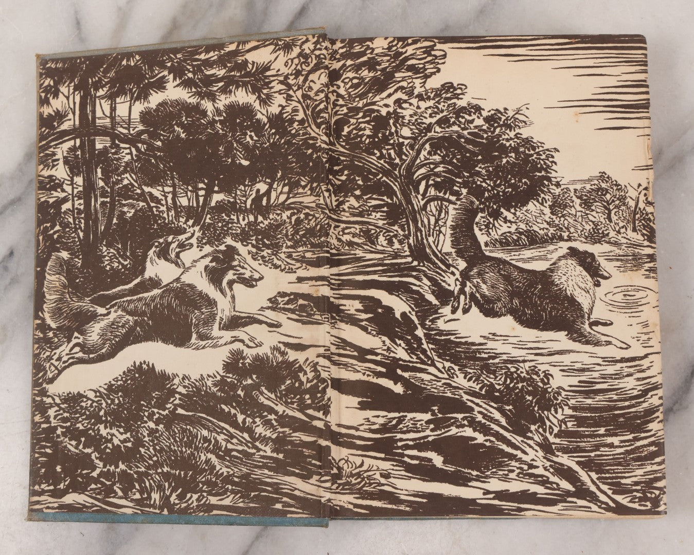 Lot 137 - "Lad Of Sunnybank" Antique Novel By Albert Payson Terhune, Illustrations Of Collies On Front Cover, Inside Covers And Title Page, Published By Grosset & Dunlap, New York, 1929