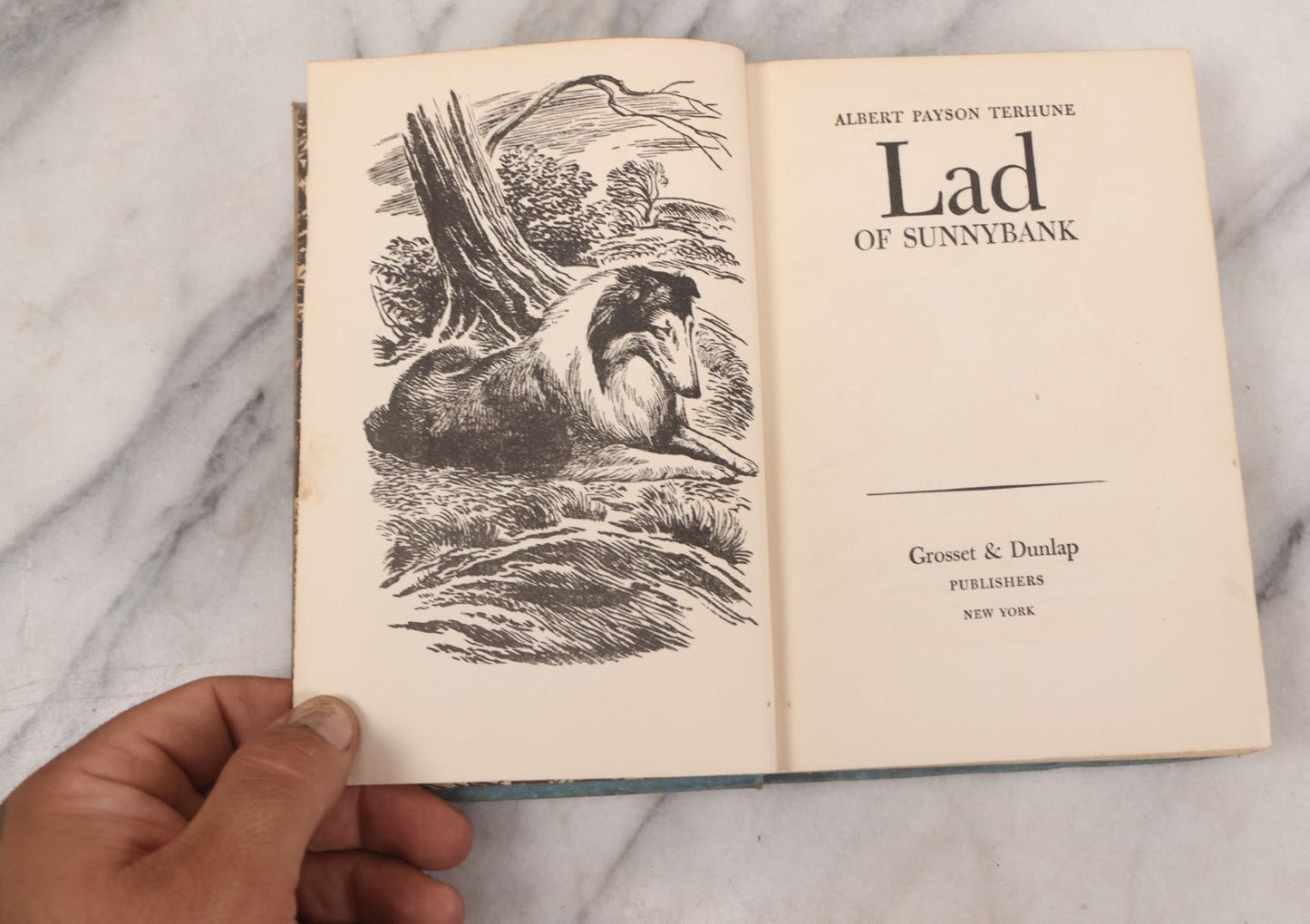 Lot 137 - "Lad Of Sunnybank" Antique Novel By Albert Payson Terhune, Illustrations Of Collies On Front Cover, Inside Covers And Title Page, Published By Grosset & Dunlap, New York, 1929