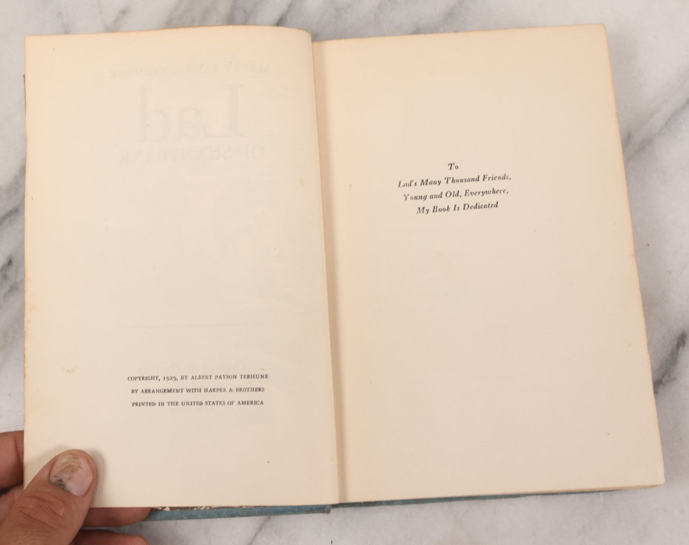 Lot 137 - "Lad Of Sunnybank" Antique Novel By Albert Payson Terhune, Illustrations Of Collies On Front Cover, Inside Covers And Title Page, Published By Grosset & Dunlap, New York, 1929
