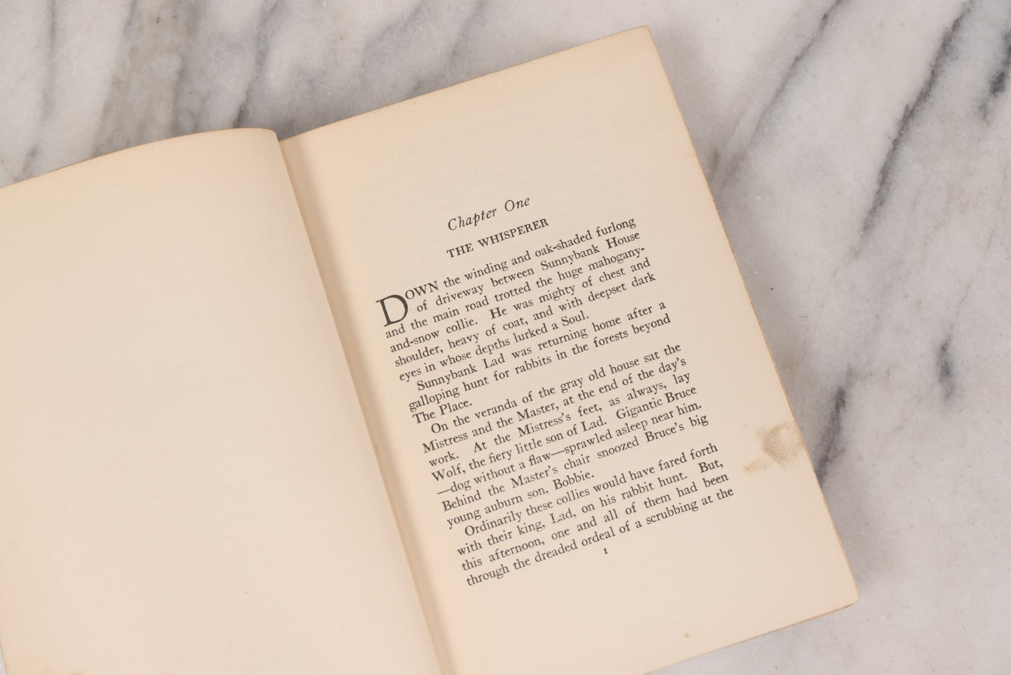 Lot 137 - "Lad Of Sunnybank" Antique Novel By Albert Payson Terhune, Illustrations Of Collies On Front Cover, Inside Covers And Title Page, Published By Grosset & Dunlap, New York, 1929