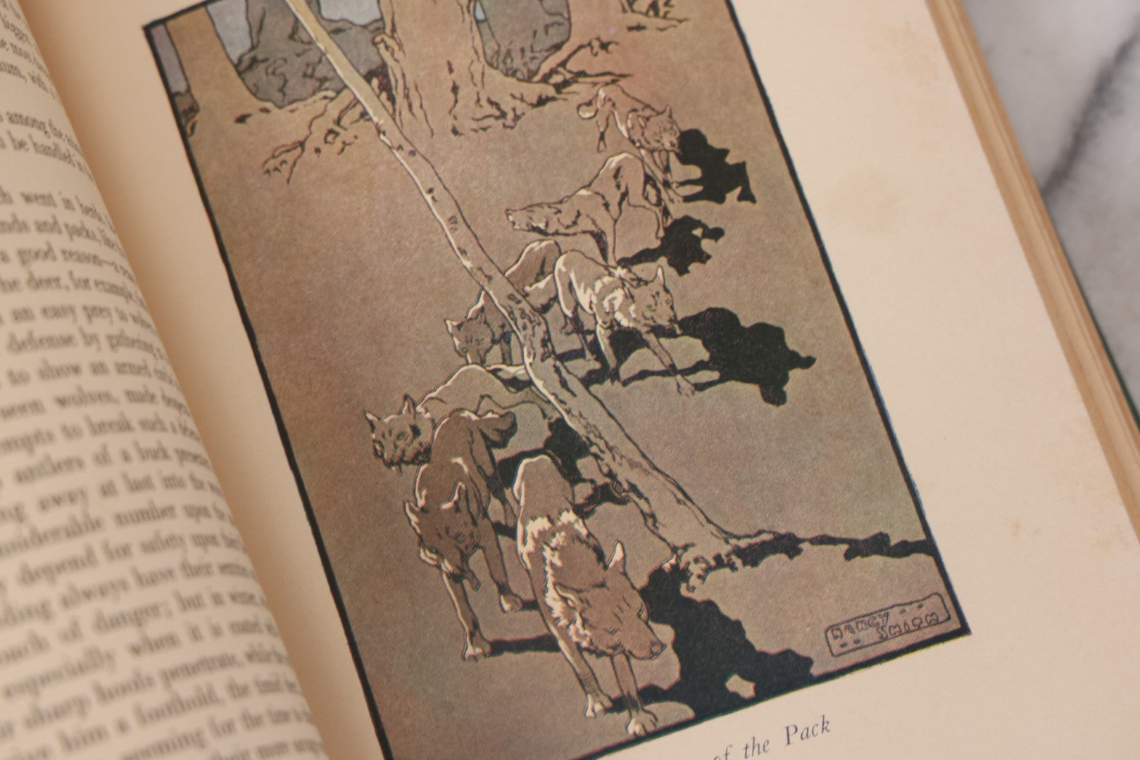 Lot 139 - "Stories Of The Stone Age; A Boy's Life In 16,000 B.C." Antique Illustrated Book By Edward Colton Fellowes, Published By Small, Maynard & Company, Cambridge, Mass, 1925