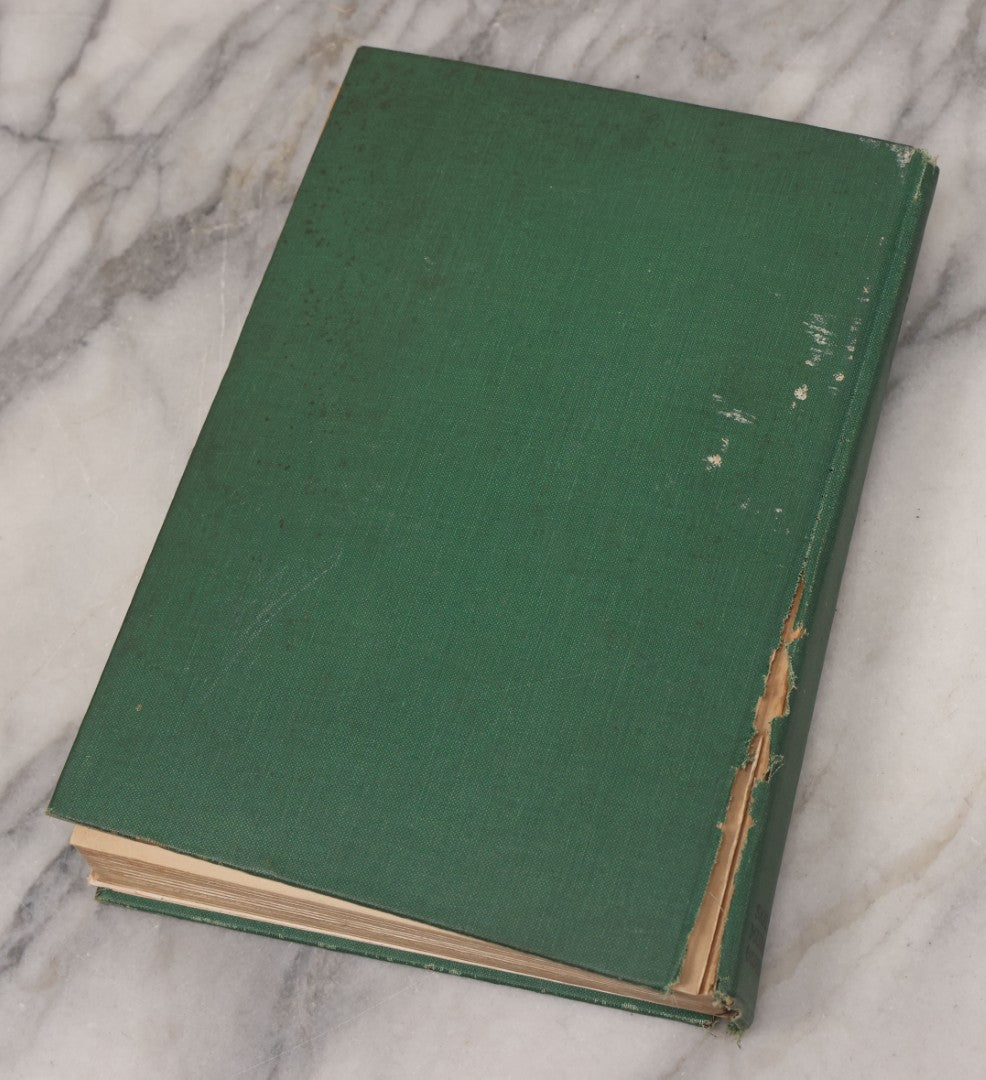 Lot 139 - "Stories Of The Stone Age; A Boy's Life In 16,000 B.C." Antique Illustrated Book By Edward Colton Fellowes, Published By Small, Maynard & Company, Cambridge, Mass, 1925