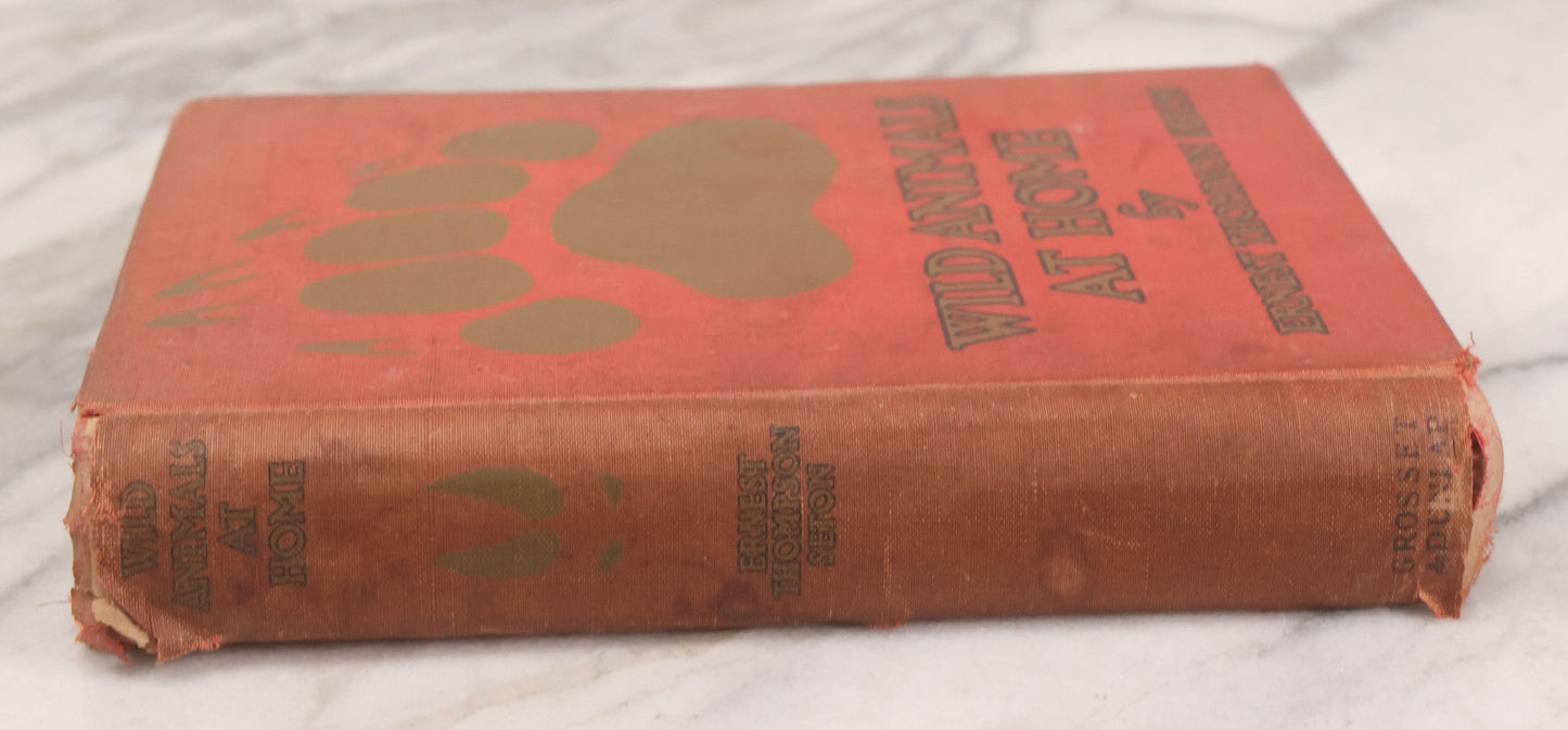 Lot 141 - "Wild Animals At Home" Antique Book By Ernest Thompson Seton, Published By Grosset & Dunlap, New York, Copyright 1913, Illustrated With Over 150 Sketches And Photographs By The Author