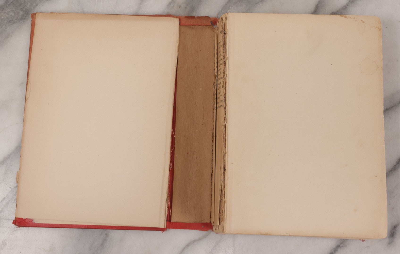 Lot 141 - "Wild Animals At Home" Antique Book By Ernest Thompson Seton, Published By Grosset & Dunlap, New York, Copyright 1913, Illustrated With Over 150 Sketches And Photographs By The Author