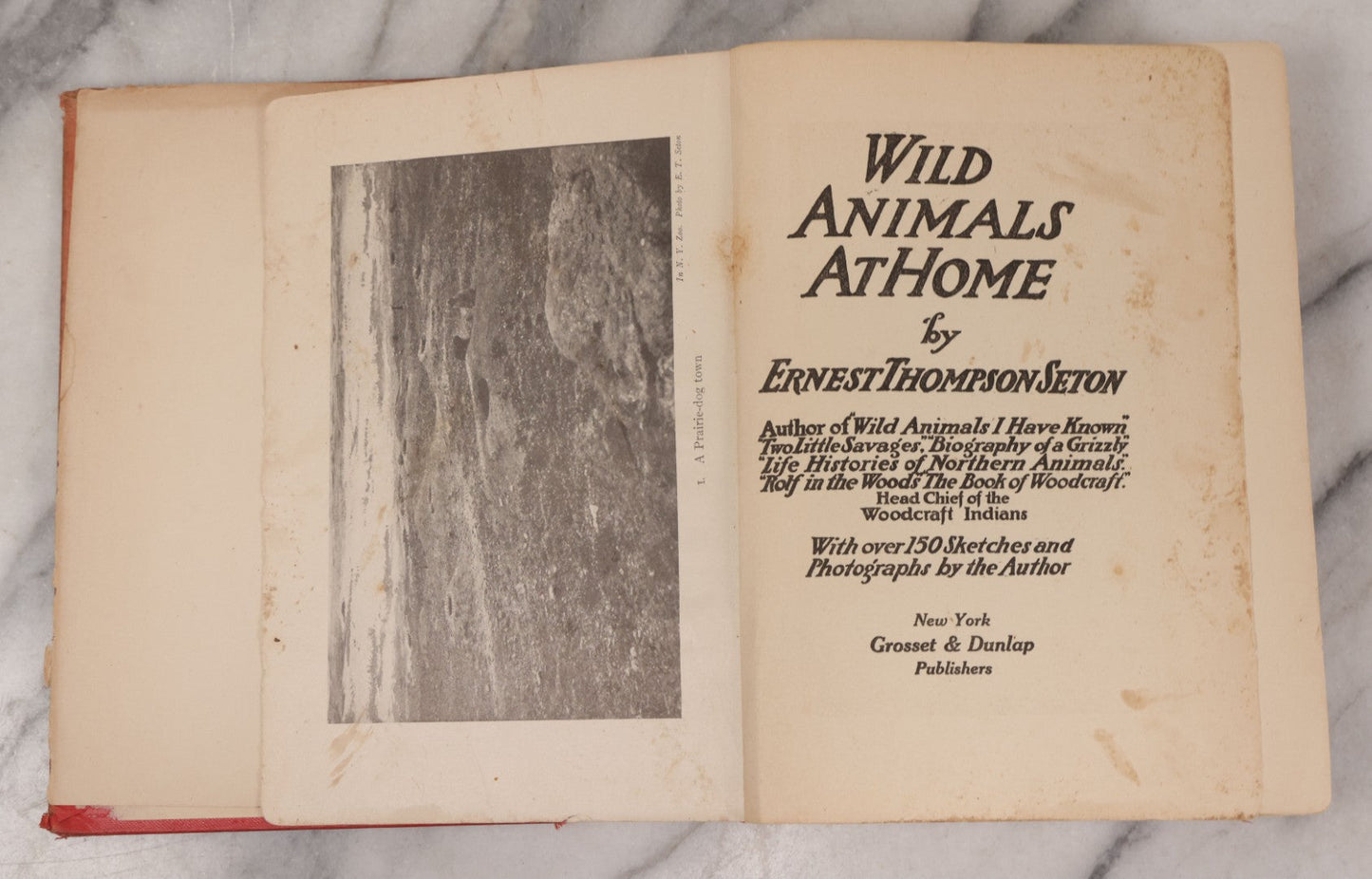 Lot 141 - "Wild Animals At Home" Antique Book By Ernest Thompson Seton, Published By Grosset & Dunlap, New York, Copyright 1913, Illustrated With Over 150 Sketches And Photographs By The Author