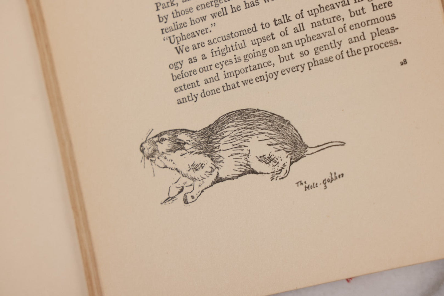 Lot 141 - "Wild Animals At Home" Antique Book By Ernest Thompson Seton, Published By Grosset & Dunlap, New York, Copyright 1913, Illustrated With Over 150 Sketches And Photographs By The Author