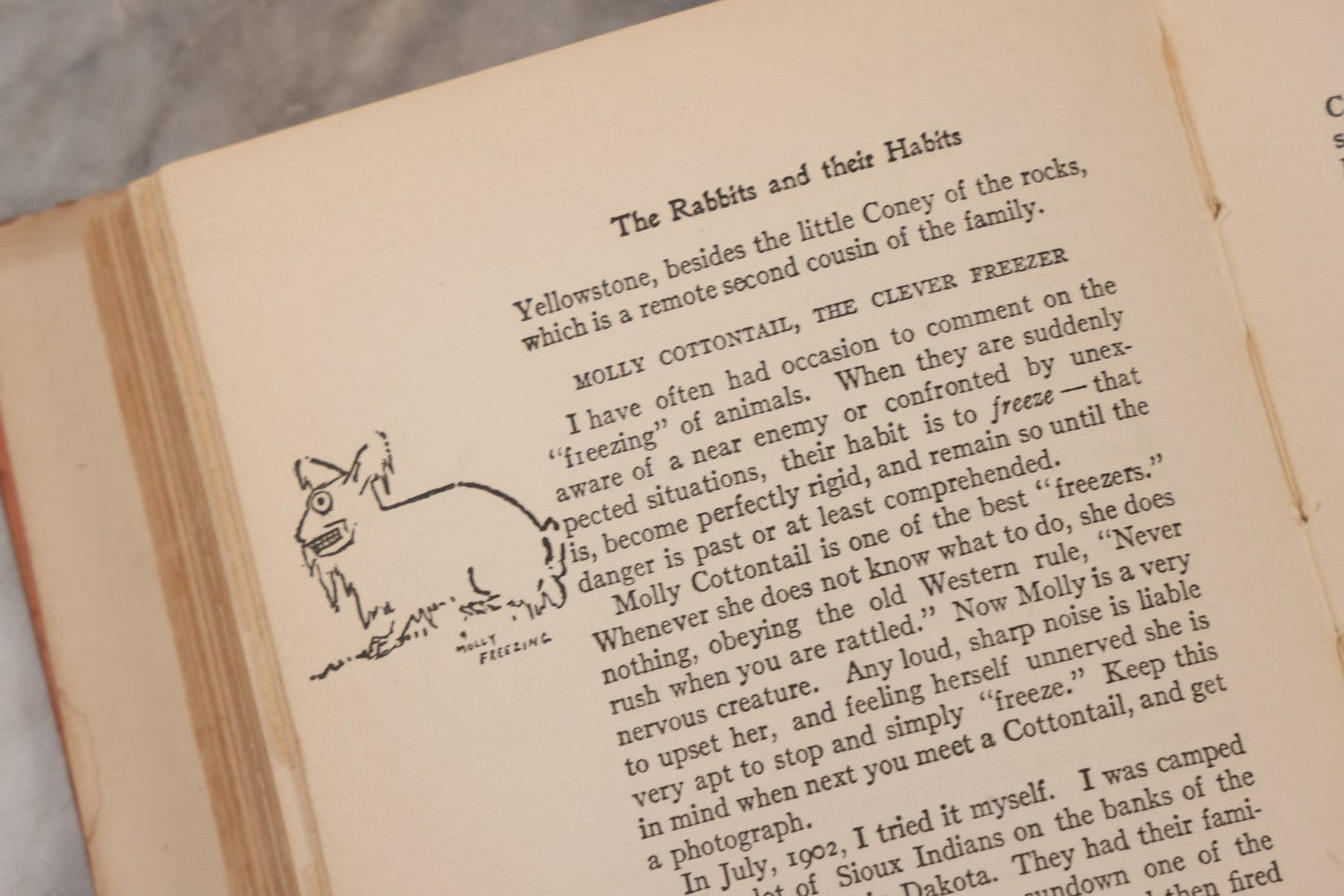 Lot 141 - "Wild Animals At Home" Antique Book By Ernest Thompson Seton, Published By Grosset & Dunlap, New York, Copyright 1913, Illustrated With Over 150 Sketches And Photographs By The Author