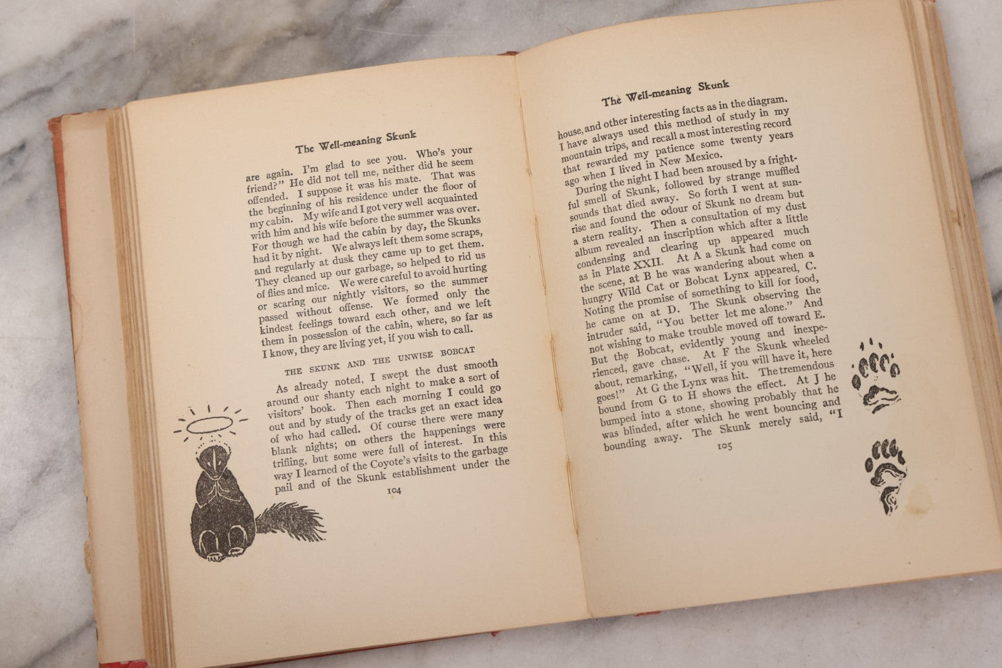Lot 141 - "Wild Animals At Home" Antique Book By Ernest Thompson Seton, Published By Grosset & Dunlap, New York, Copyright 1913, Illustrated With Over 150 Sketches And Photographs By The Author