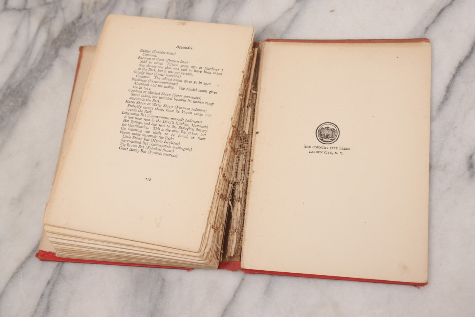 Lot 141 - "Wild Animals At Home" Antique Book By Ernest Thompson Seton, Published By Grosset & Dunlap, New York, Copyright 1913, Illustrated With Over 150 Sketches And Photographs By The Author