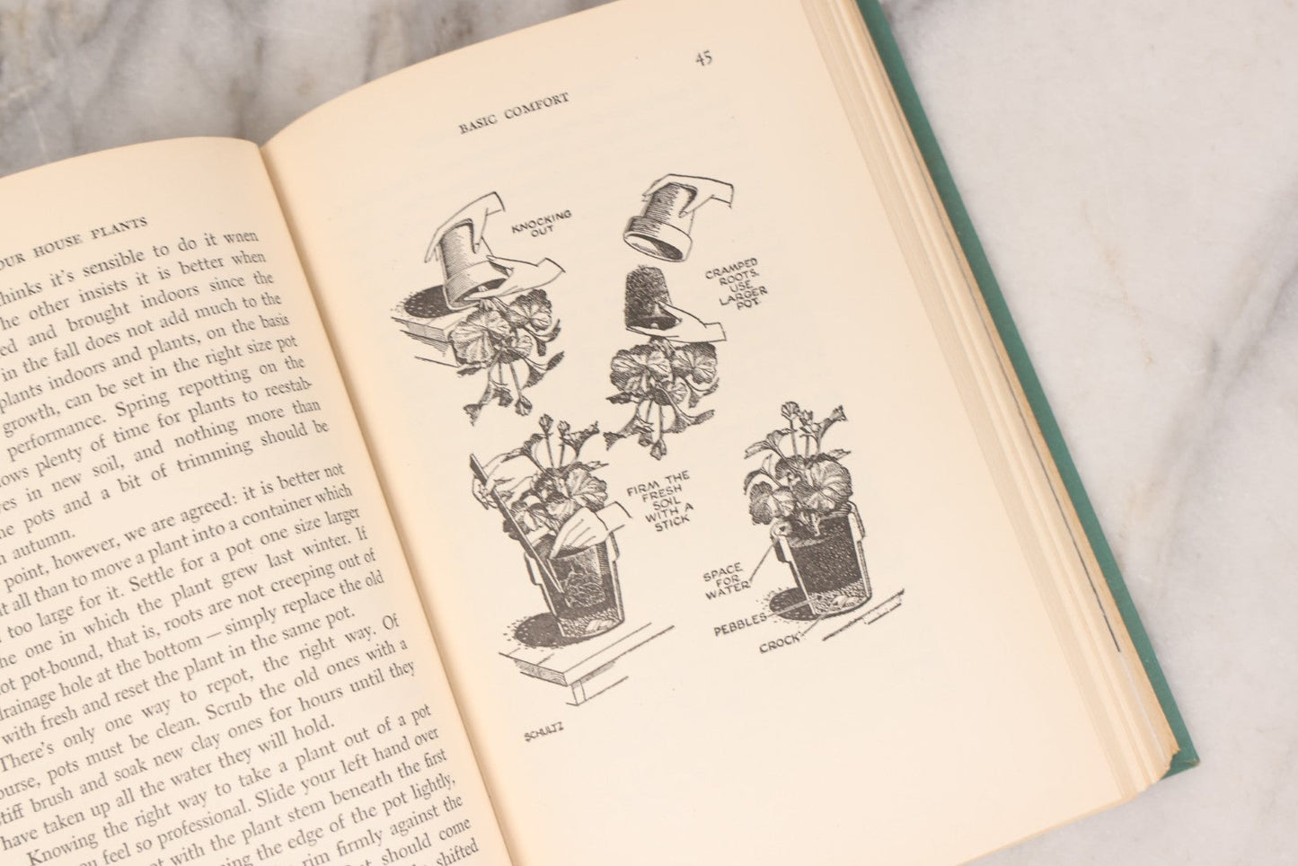 Lot 143 - Pair Of Vintage Gardening Books, "Enjoy Your House Plants" By Dorothy H. Jenkins & Helen Van Pelt Wilson, 1964 And "Wild Flowers For Your Garden" By Helen S. Hull, C. 1940s
