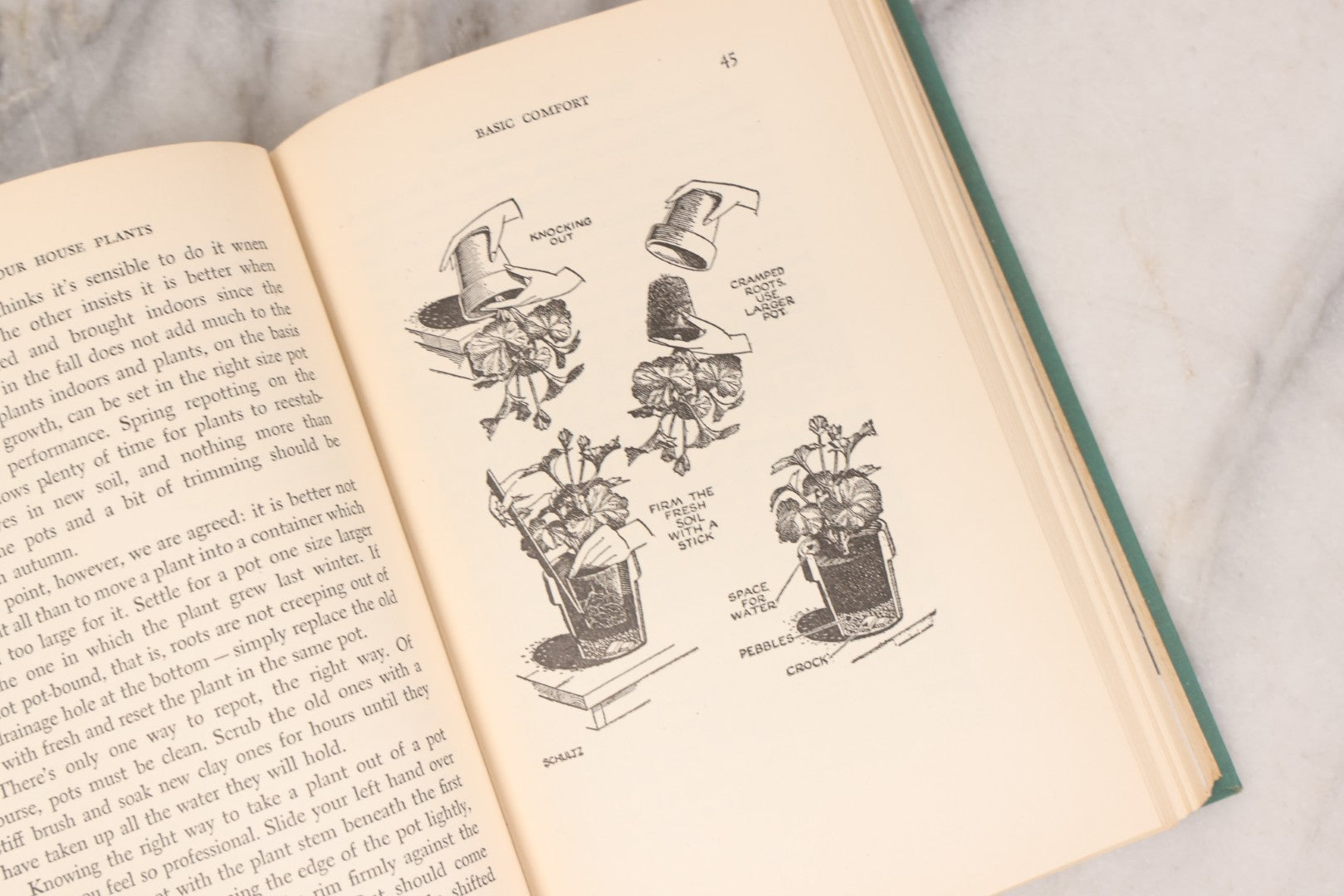 Lot 143 - Pair Of Vintage Gardening Books, "Enjoy Your House Plants" By Dorothy H. Jenkins & Helen Van Pelt Wilson, 1964 And "Wild Flowers For Your Garden" By Helen S. Hull, C. 1940s