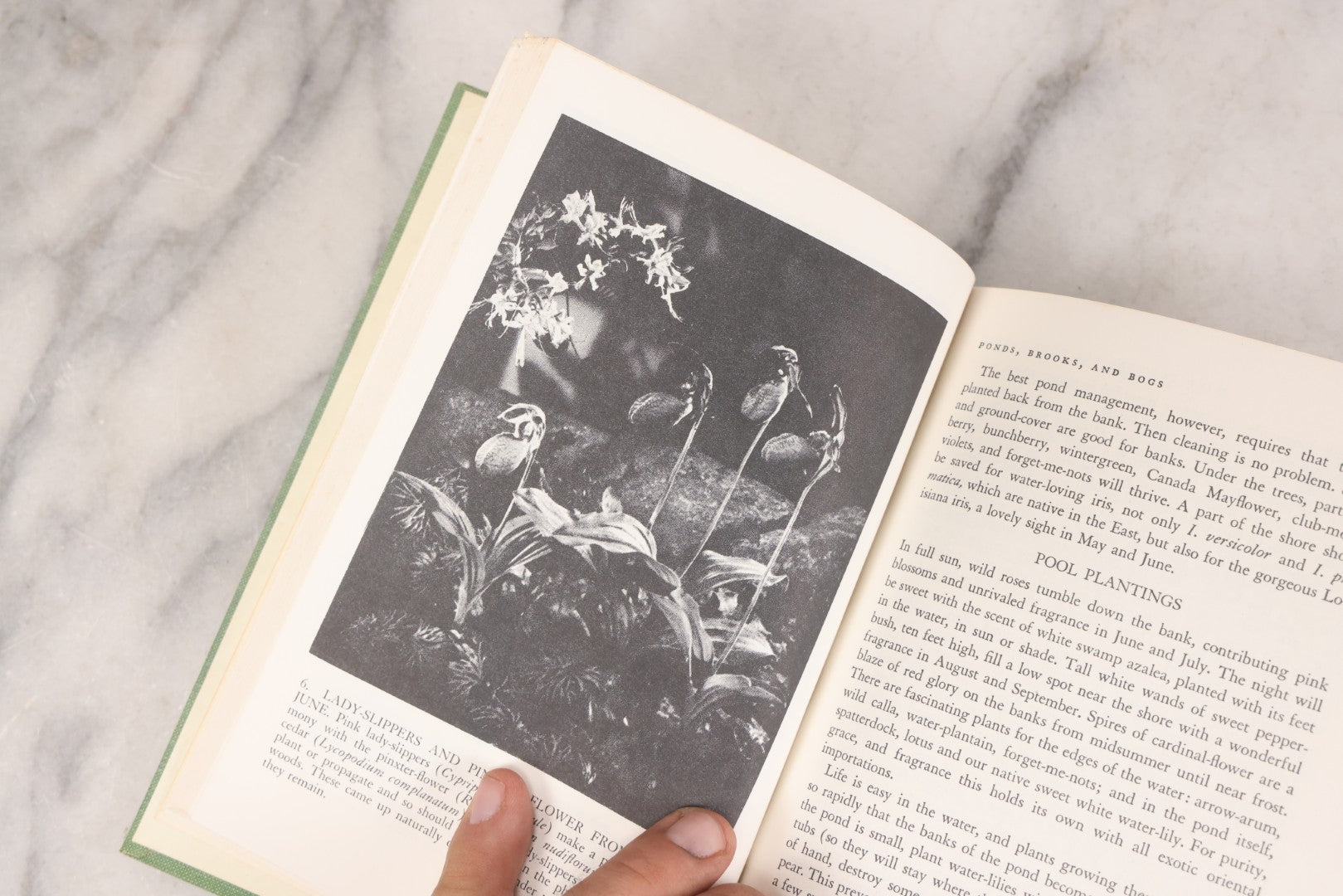 Lot 143 - Pair Of Vintage Gardening Books, "Enjoy Your House Plants" By Dorothy H. Jenkins & Helen Van Pelt Wilson, 1964 And "Wild Flowers For Your Garden" By Helen S. Hull, C. 1940s