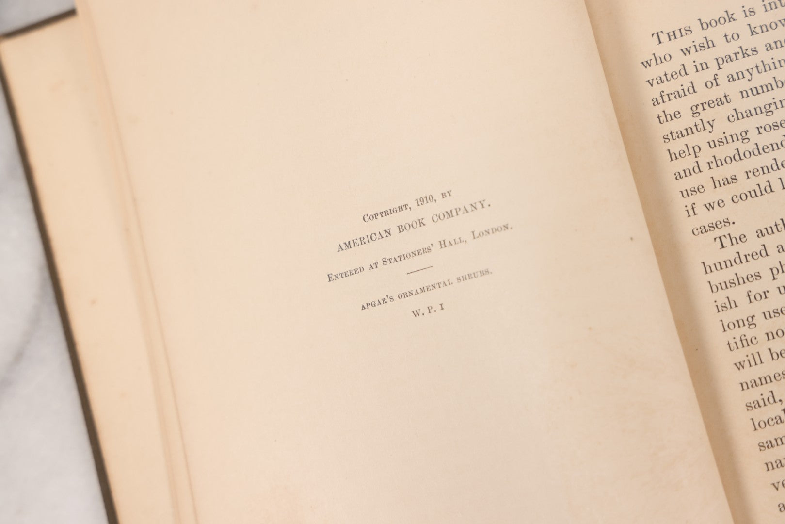 Lot 144 - "Ornamental Shrubs Of The United States (Hardy, Cultivated)" Antique Book By Austin Craig Apgar, American Book Company, New York, Cincinnati, Chicago, Copyright 1910