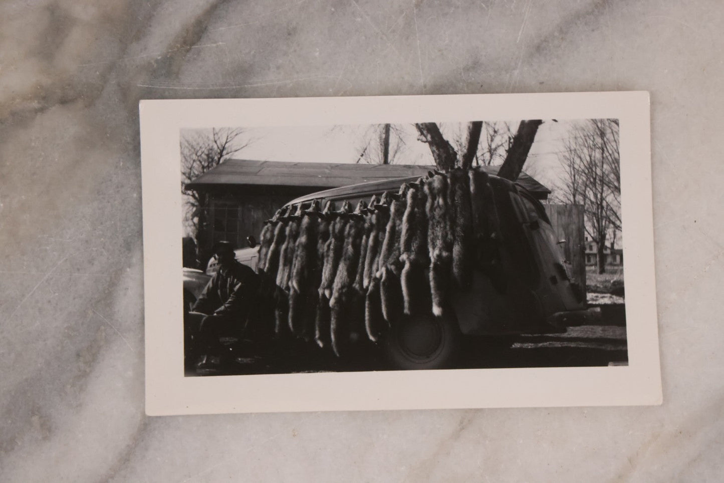 Lot 165 - Grouping Of Nine Vintage Snapshot Photographs Of Outdoorsmen, Hunters, Trappers, Fisherman, And Their Catches, Including Many Photos Of Furs, Hunting Dogs, Etc.