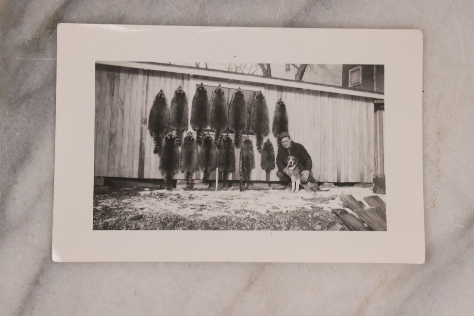 Lot 165 - Grouping Of Nine Vintage Snapshot Photographs Of Outdoorsmen, Hunters, Trappers, Fisherman, And Their Catches, Including Many Photos Of Furs, Hunting Dogs, Etc.