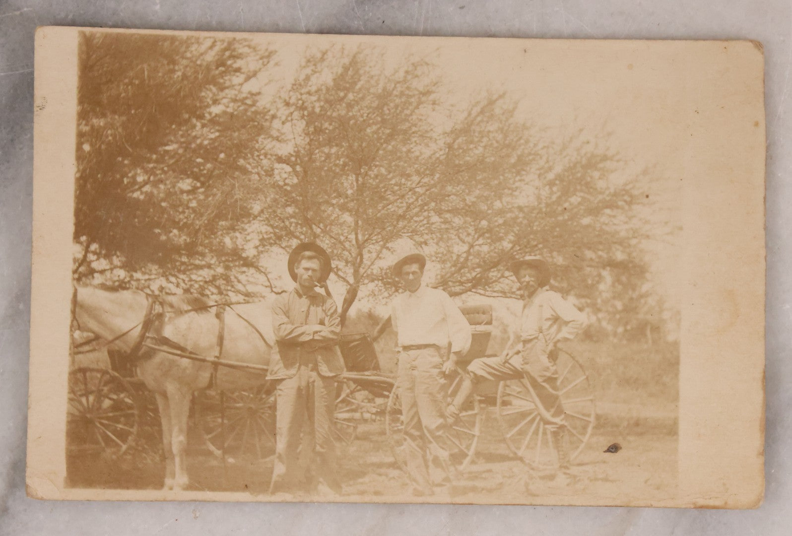 Lot 166 - Grouping Of Four Antique Occupational Photographs Including Miniature Boarded Photo Of Possible Firefighter, R.P.P.C. Of Men With Horse And Carriage, R.P.P.C. Of Train Conductor, And Poor Condition R.P.P.C. Of Sawmill