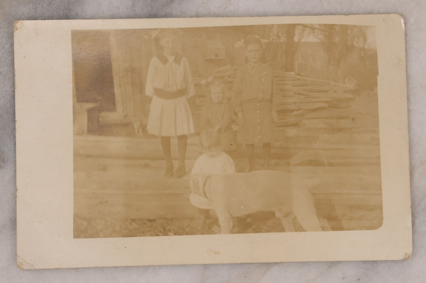 Lot 167 - Pair Of Antique Photographs Of Children And Their Dogs Including Boarded Photo Of Baby And Dog, And R.P.P.C. Of Four Children And Their Dog
