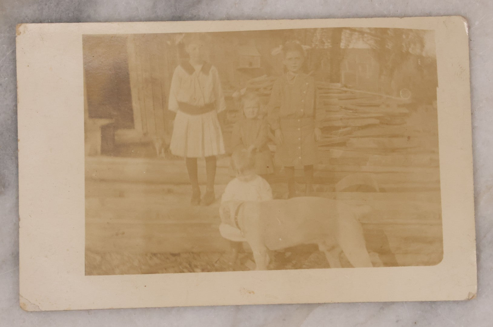 Lot 167 - Pair Of Antique Photographs Of Children And Their Dogs Including Boarded Photo Of Baby And Dog, And R.P.P.C. Of Four Children And Their Dog