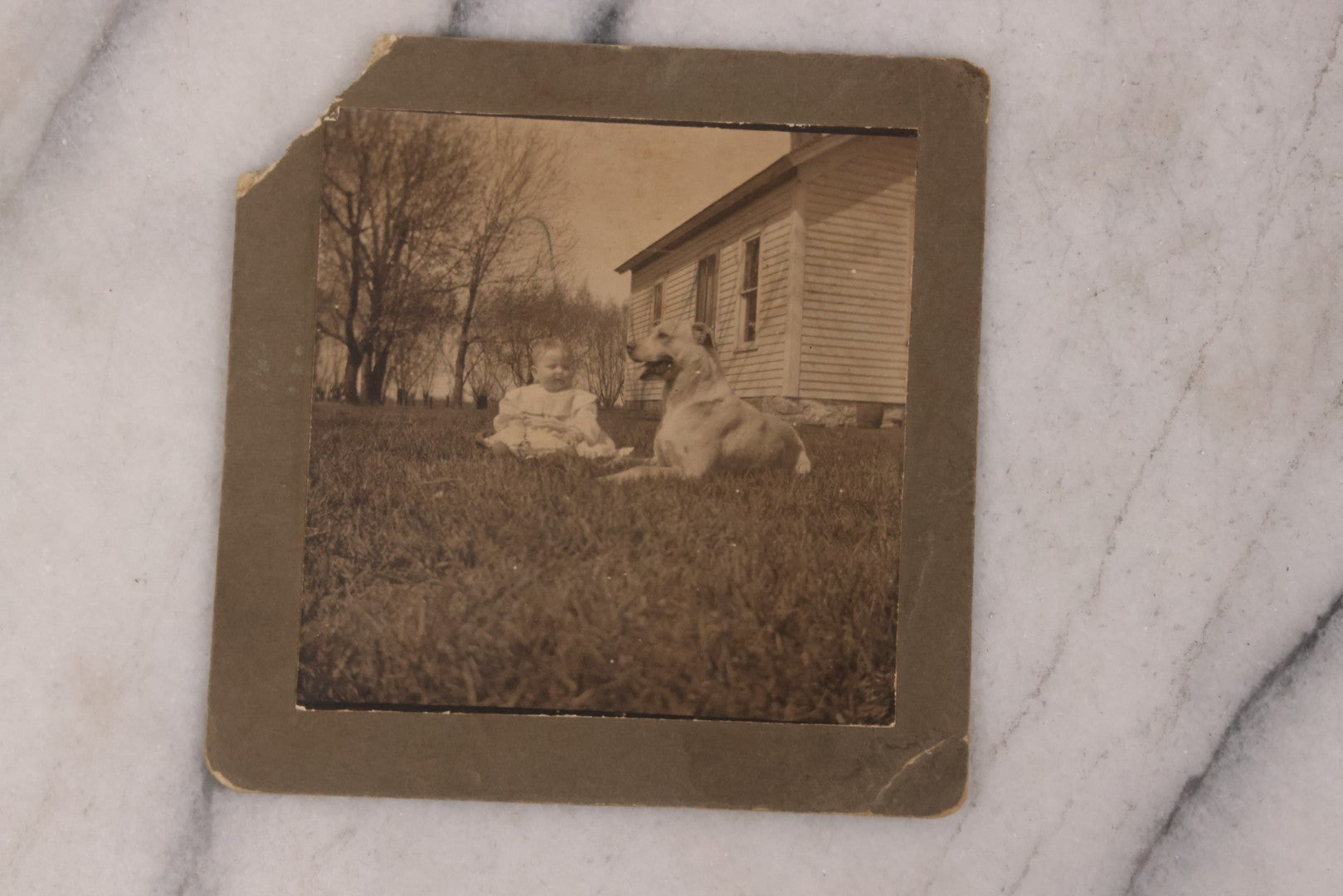 Lot 167 - Pair Of Antique Photographs Of Children And Their Dogs Including Boarded Photo Of Baby And Dog, And R.P.P.C. Of Four Children And Their Dog