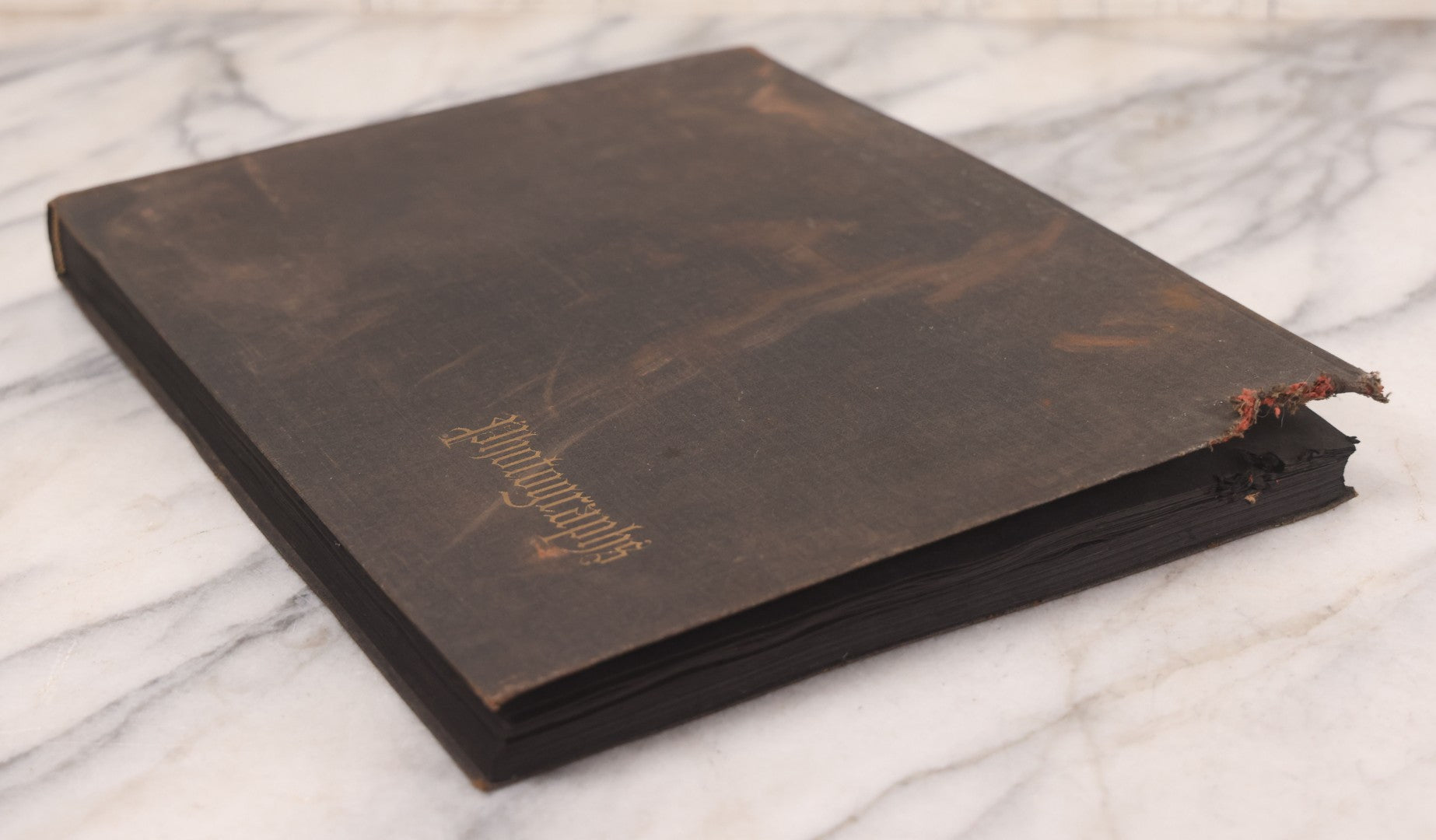 Lot 095 - Antique Family Photo Album With 25+ Portrait And Snapshot Photographs, Mostly Of Children, Including New York Sightseeing Trolley Photo, And Several Additional Loose Snapshot Photos