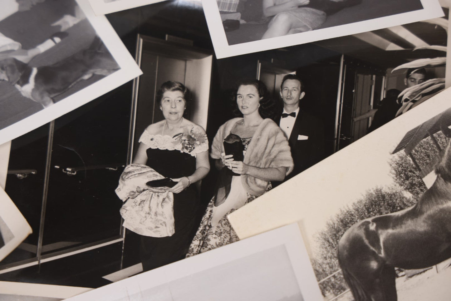 Lot 103 - Grouping Of Thirteen Vintage Snapshot And Other Mixed Photographs Including Woman In Costume, M.G. Conference, Woman With Cat And Dog, Postcard Of Woman Water Skiing, Horse, Circa 1960s