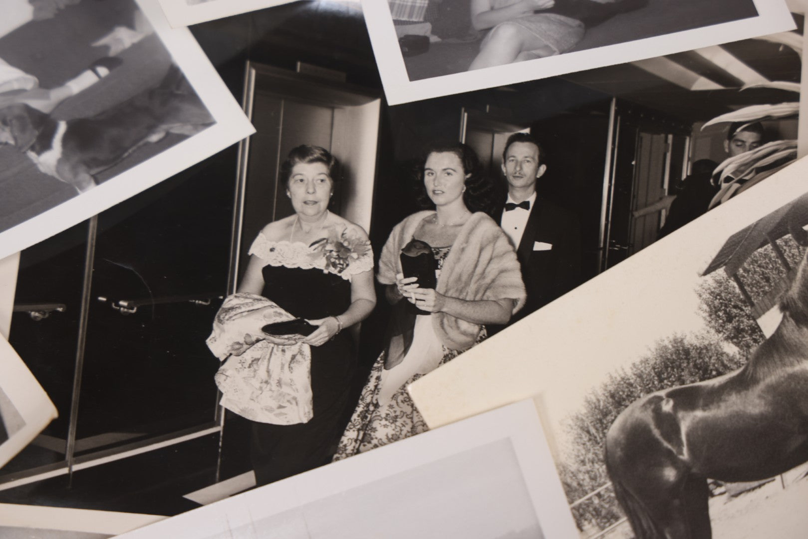 Lot 103 - Grouping Of Thirteen Vintage Snapshot And Other Mixed Photographs Including Woman In Costume, M.G. Conference, Woman With Cat And Dog, Postcard Of Woman Water Skiing, Horse, Circa 1960s