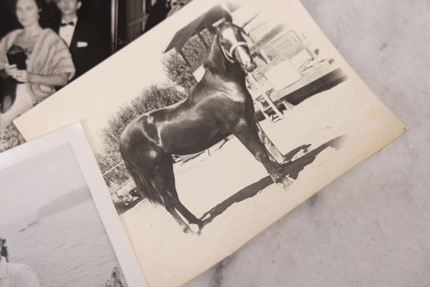 Lot 103 - Grouping Of Thirteen Vintage Snapshot And Other Mixed Photographs Including Woman In Costume, M.G. Conference, Woman With Cat And Dog, Postcard Of Woman Water Skiing, Horse, Circa 1960s
