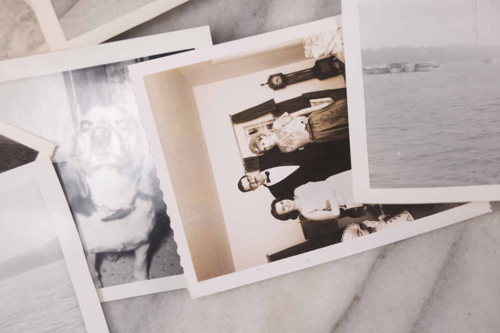 Lot 103 - Grouping Of Thirteen Vintage Snapshot And Other Mixed Photographs Including Woman In Costume, M.G. Conference, Woman With Cat And Dog, Postcard Of Woman Water Skiing, Horse, Circa 1960s