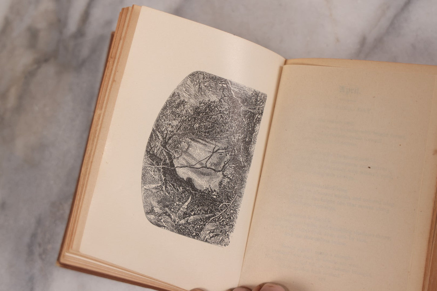 Lot 106 - "The Longfellow Birthday Book" Antique Illustrated Book Arranged By Charlotte Fiske Bates, Published By Houghton Mifflin And Company, Boston, 1881