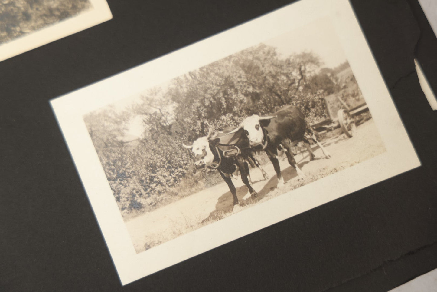 Lot 090 - Antique Snapshot Photo Album With 115+ Photographs, Early 1920s New England Scenes Including Lake Winnipesaukee, Quarry In Rockport Maine, And Winter Views