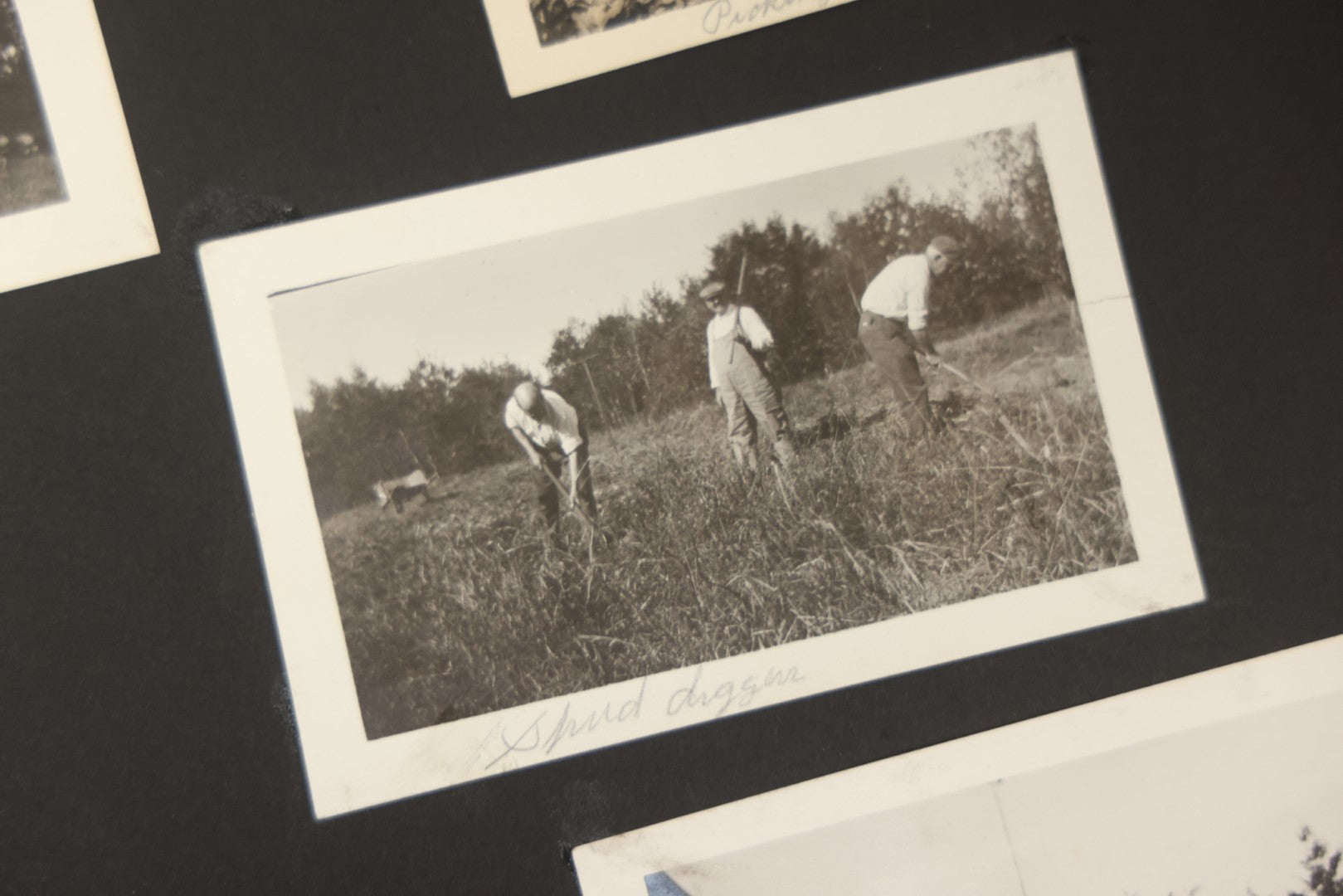 Lot 090 - Antique Snapshot Photo Album With 115+ Photographs, Early 1920s New England Scenes Including Lake Winnipesaukee, Quarry In Rockport Maine, And Winter Views