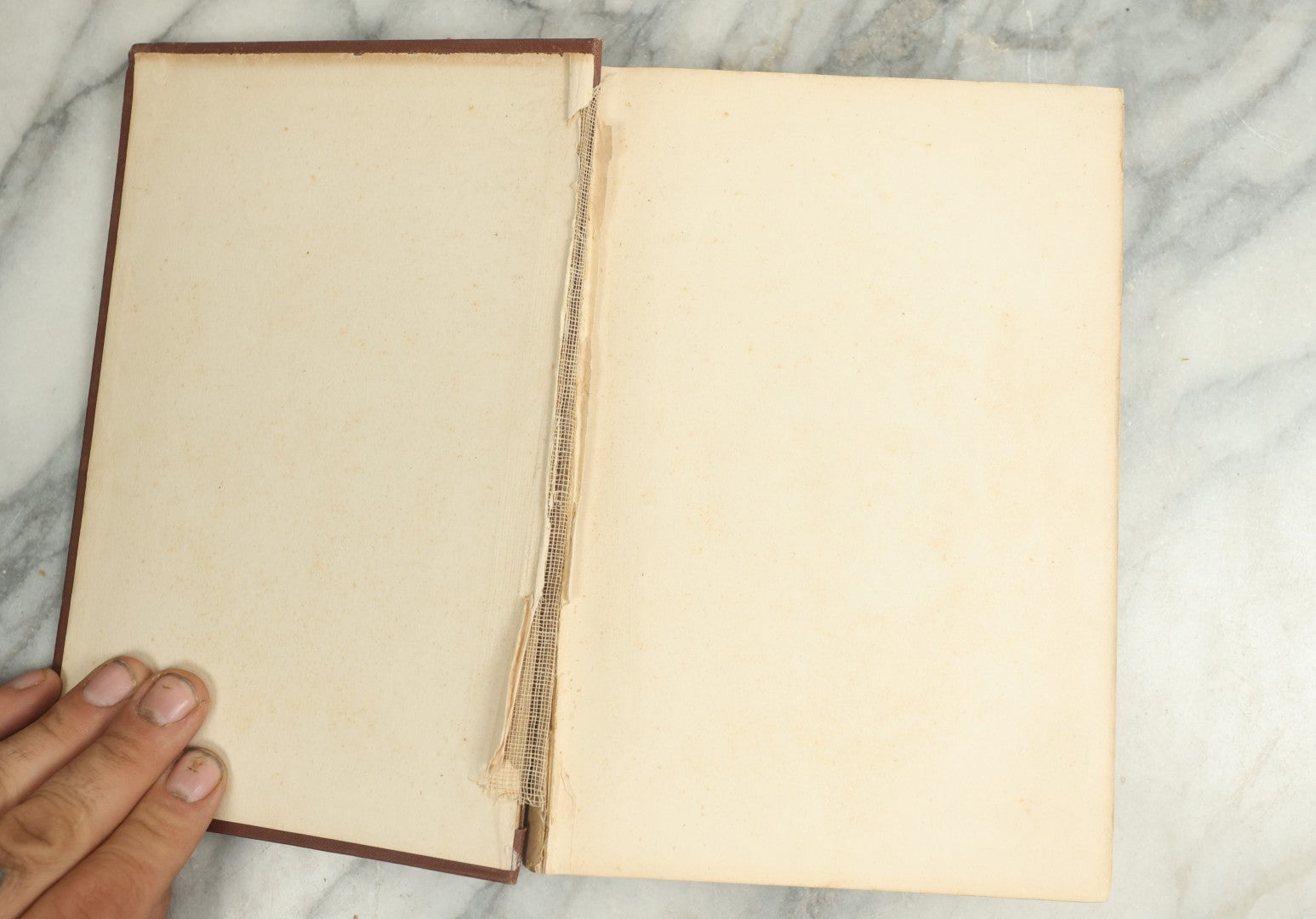 Lot 134 - "The American Rifle: A Treatise, A Textbook, And A Book Of Practical Instruction In The Use Of The Rifle" Antique Illustrated Book By Major Townsend Whelen, Published By The Century Co., New York, 1920