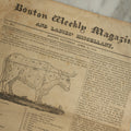Lot 153 - Antique Newspaper “Boston Weekly Magazine And Ladies' Miscellany,” April 24, 1819, With Agricultural Engraving Of Ox And Butchering Diagram