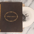 Lot 048 - Antique Salesman's Dummy Subscription Sample Book For "The Southern Rebellion," With Gilded "Specimen" Cover, Dozens Of Engravings By H. Wright Smith, Mostly Of Civil War Military Leaders, Subscriber Ledger