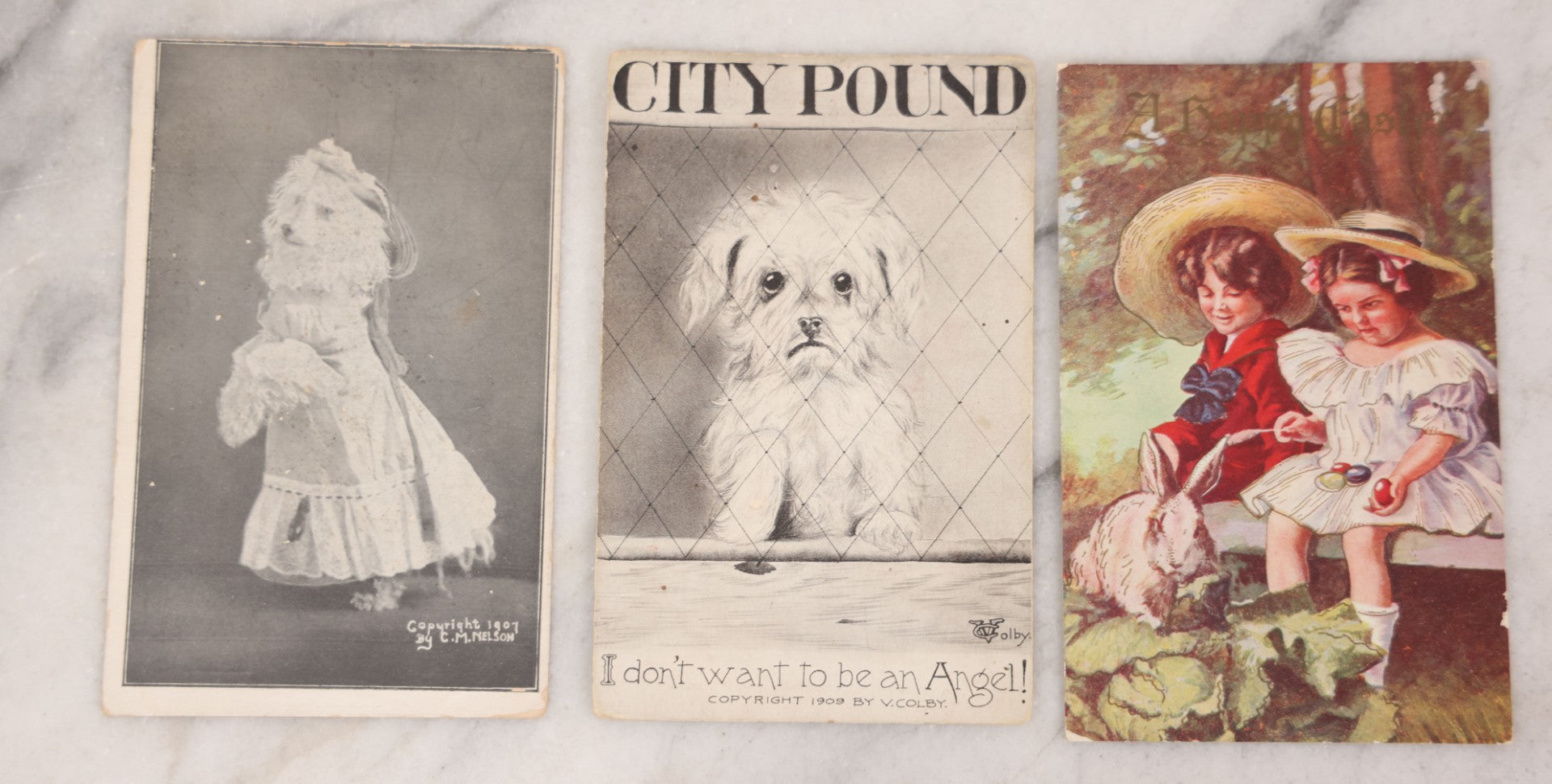 Lot 095 - Grouping Of Twelve Antique Postcards Of Children And Animals Including Dogs, Bears, And Donkeys