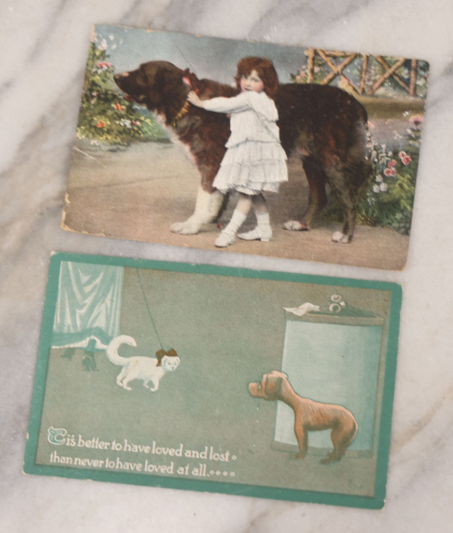 Lot 095 - Grouping Of Twelve Antique Postcards Of Children And Animals Including Dogs, Bears, And Donkeys