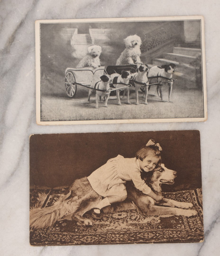 Lot 095 - Grouping Of Twelve Antique Postcards Of Children And Animals Including Dogs, Bears, And Donkeys