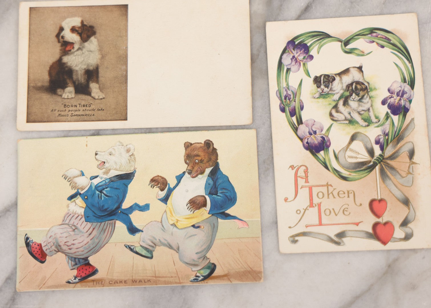 Lot 095 - Grouping Of Twelve Antique Postcards Of Children And Animals Including Dogs, Bears, And Donkeys