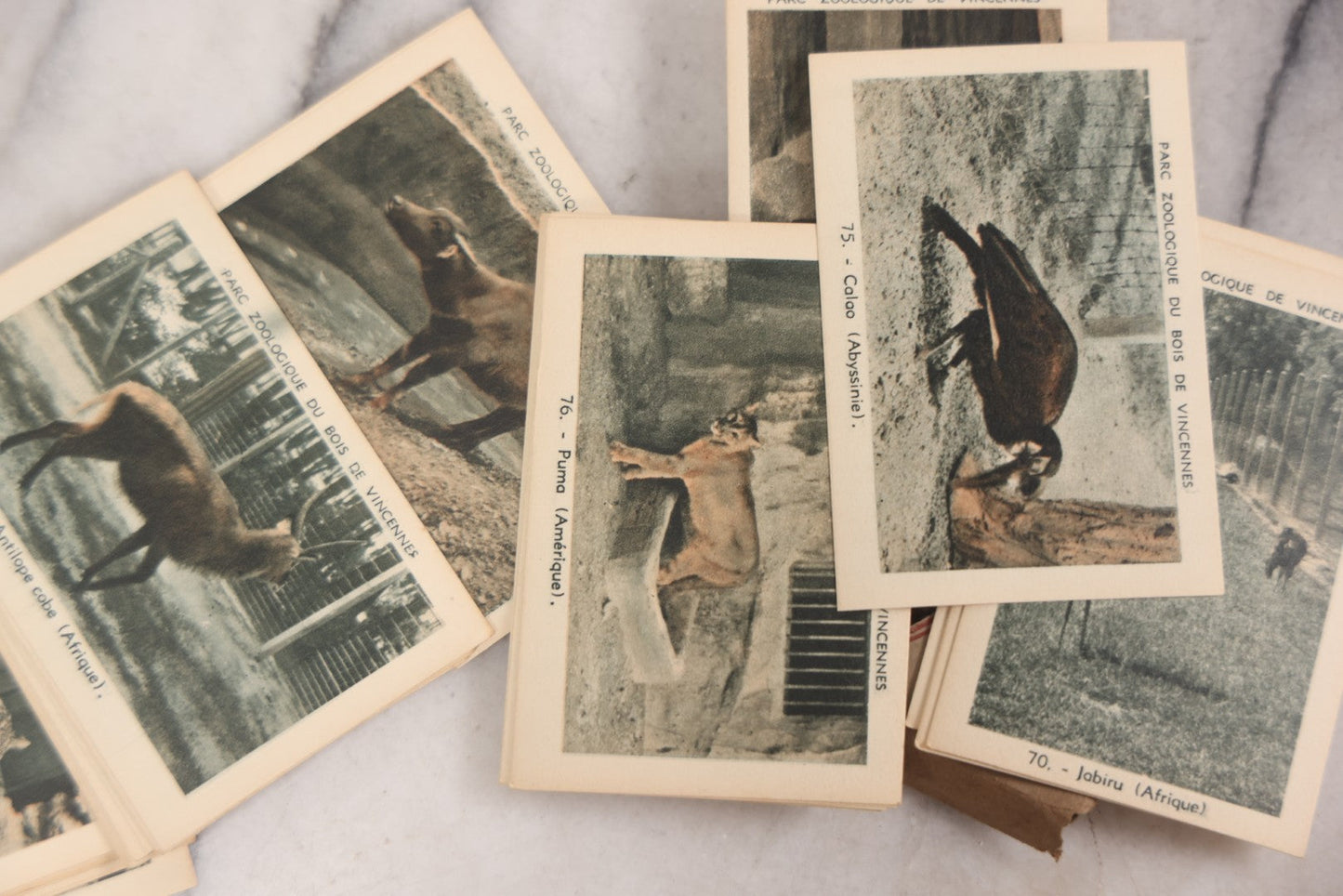 Lot 100 - Grouping Of 12 Vintage Souvenir Folders With Tourism Cards, Some Photo Cards, Depicting Artwork, Landmarks Of Cities And Attractions In Europe, Hong Kong, Paris Zoo, Versailles