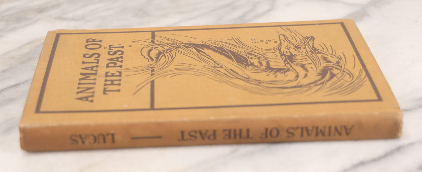 Lot 107 - "Animals Of The Past: An Account Of Some Of The Creatures Of The Ancient World" Illustrated Prehistoric Animal Book By Frederic A. Lucas, Director Of The Museum Of Natural History, Published By The American Museum Press, New York, 1922