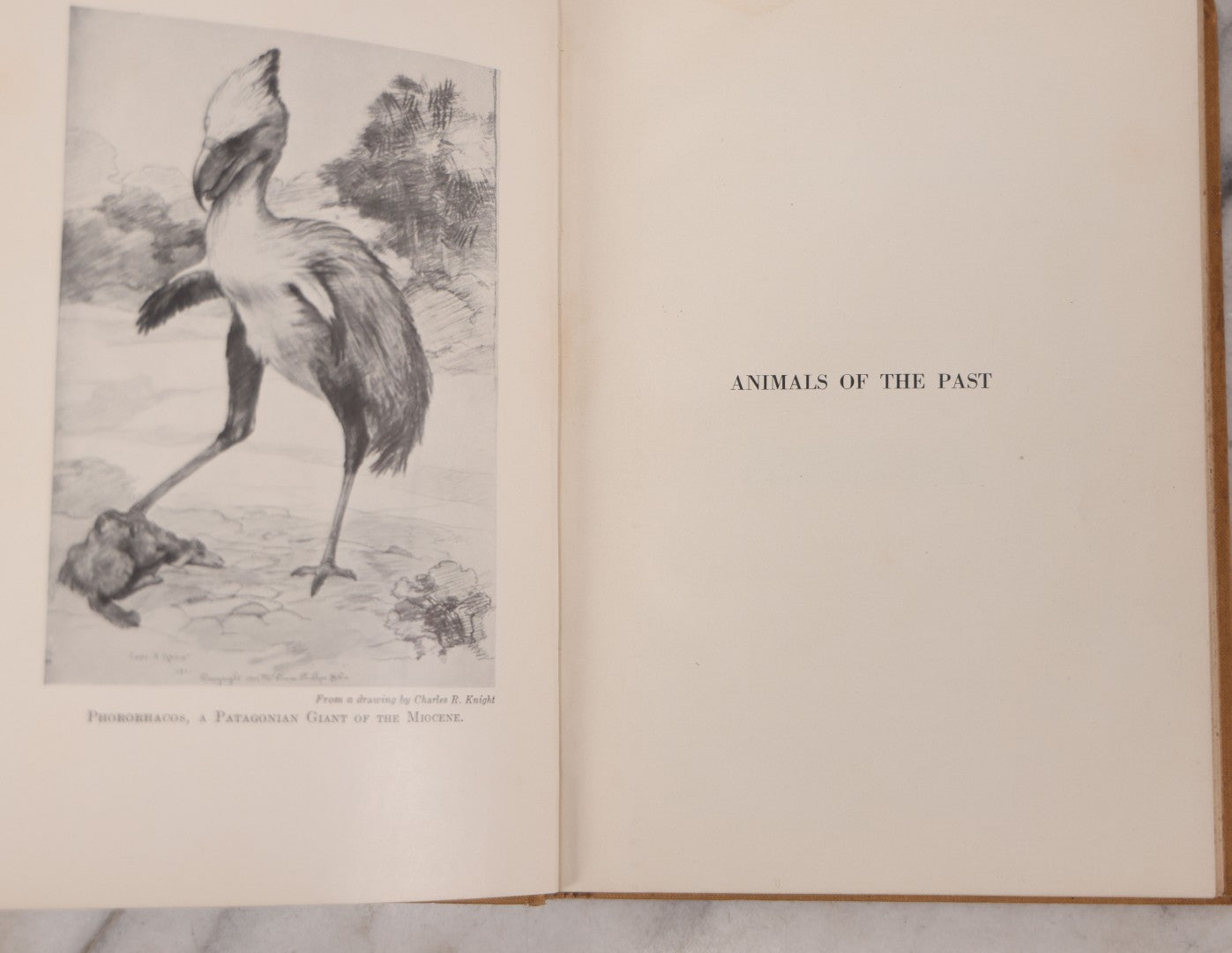 Lot 107 - "Animals Of The Past: An Account Of Some Of The Creatures Of The Ancient World" Illustrated Prehistoric Animal Book By Frederic A. Lucas, Director Of The Museum Of Natural History, Published By The American Museum Press, New York, 1922